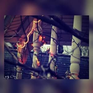 Meet your Posher, Yarelys