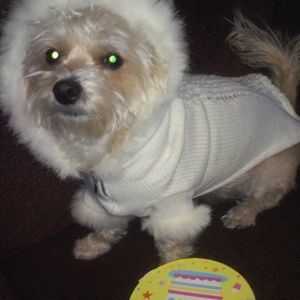 Meet your Posher, Brenda