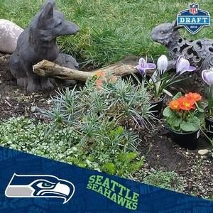 Meet your Posher, Nise marie