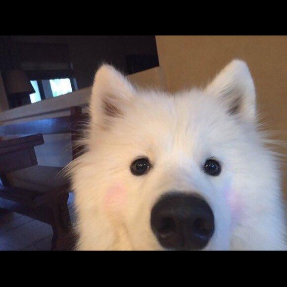 Meet your Posher, Cindy - Picture 1 of 1