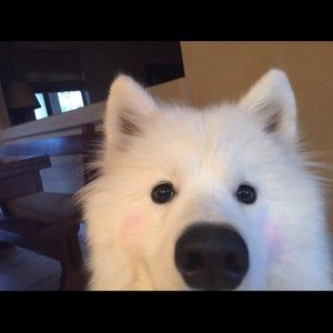 Meet your Posher, Cindy