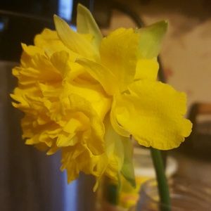 Meet your Posher, Kresta