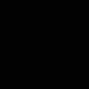 Meet your Posher, Ellie