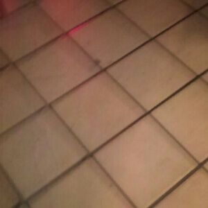 Meet your Posher, Shareese