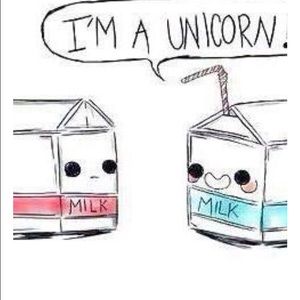 Meet your Posher, Belinda