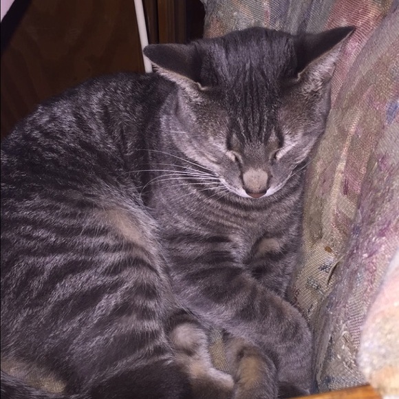 Meet your Posher, Tiffany