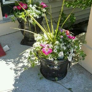 Meet your Posher, Joanie