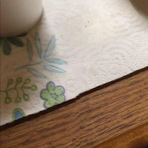 Meet your Posher, Shelley