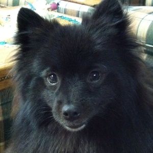 Meet your Posher, Angela