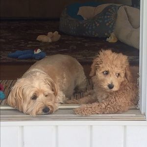 Meet your Posher, Kelly