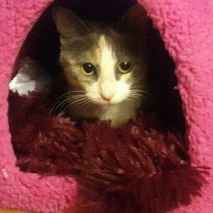 Meet your Posher, Eddie