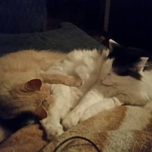 Meet your Posher, Michelle