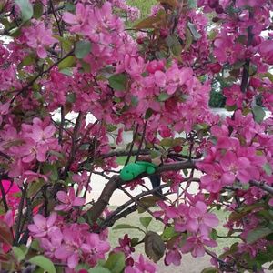 Meet your Posher, Dee