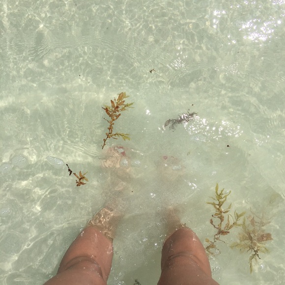 Meet your Posher, Audrey - Picture 2 of 4