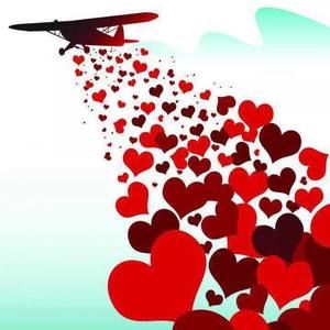 Meet your Posher, Florence