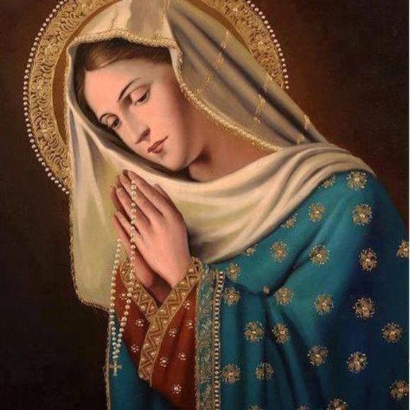 Meet your Posher, Barbara