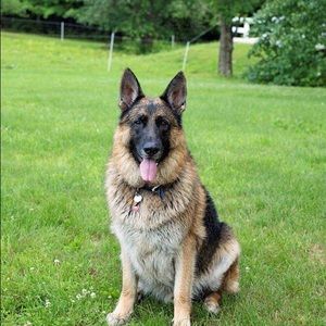 Meet your Posher, Liz