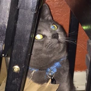 Meet your Posher, Chloe