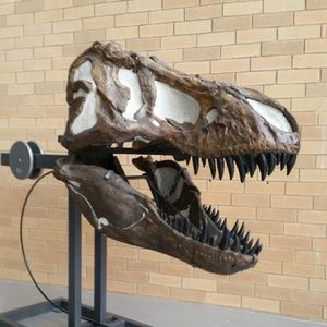 Meet your Posher, Jahdi