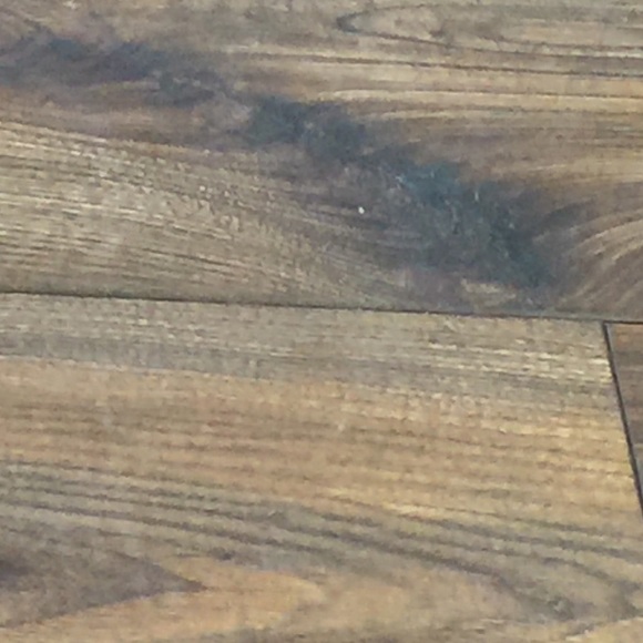 Meet your Posher, Wissy - Picture 1 of 1