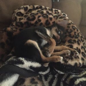 Meet your Posher, Randy