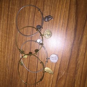 ALEX & ANI bundle