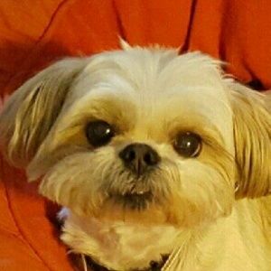 Meet your Posher, Wendy