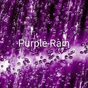 Meet your Posher, Trisha