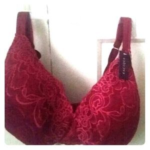 *NEW* Lane Bryant (Cacique) Bra