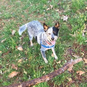 Meet your Posher, Molly