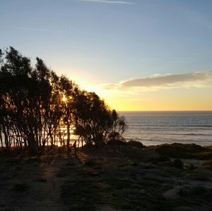 Meet your Posher, Abigail