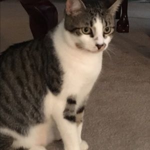 Meet your Posher, Francine