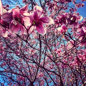 Meet your Posher, Sophie