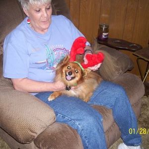 Meet your Posher, Linda