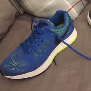 Nike Pegasus 31