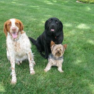 Meet your Posher, Cathy