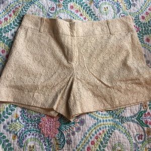 Cream floral lace shorts from the Loft Cream floral lace shorts from the Loft