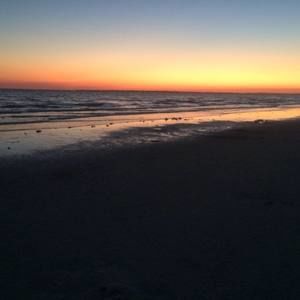 Meet your Posher, Rene