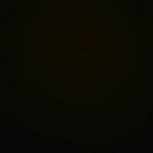 Meet your Posher, Samuel