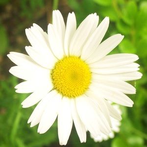 Meet your Posher, Jeni