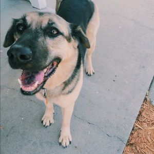 Meet your Posher, Spencer