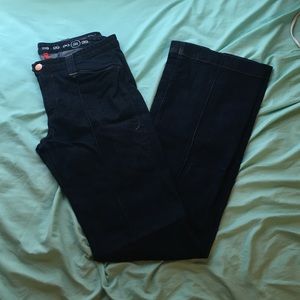 Earnest Sewn Wide Leg Jean, Sz 31