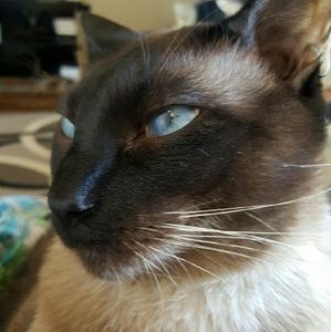 Meet your Posher, Terry