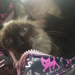 Meet your Posher, Jesse