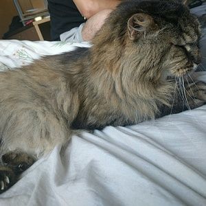 Meet your Posher, Max