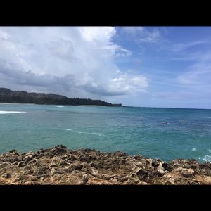 Meet your Posher, Holly