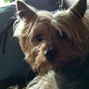 Meet your Posher, Phyllis