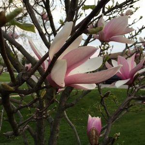 Meet your Posher, Shelly