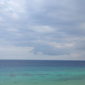 Meet your Posher, Arianna