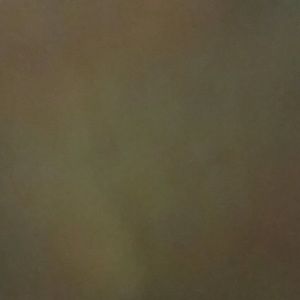 Meet your Posher, Carly